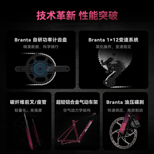 喜德盛（xds）xds ad350喜德盛ad350 25款公路车喜德盛公路车公路自行车喜德盛 2025款|鸽子灰 700Cx510mm|身高175-185cm