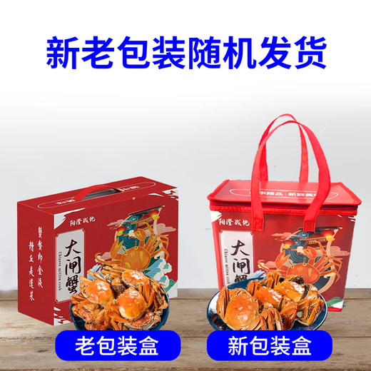 [Living Crab] Yangcheng Battlefield Hairy Crab Fresh Live Crab Male Crab Female Crab Seafood Water Generation Gift Box Male 5.5-5.8 Two Female 4.5-4.8 Two Four 4-8