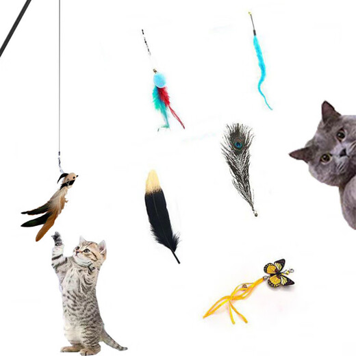 【7373人好评】加长逗猫棒长杆可伸缩杆1米8超长钢丝钓鱼竿羽毛自 (黑杆)1米8加长伸缩杆+六件套