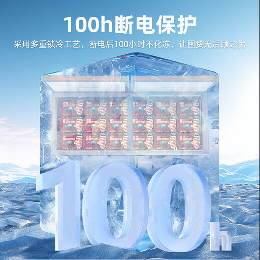 美菱（MeiLing）商用冰柜【防凝露】大容量冷藏冷冻转换柜商超肉食茶叶速冻保鲜柜低温速冻大冷冻柜雪柜 BC/BD-738DTE【-40℃电控】PCM钢胆