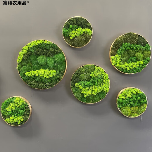 Immortal moss green plant wall moss lawn moss decoration DIY micro landscape white hair moss handmade materials Moss black brown (20g) cannot be put in water