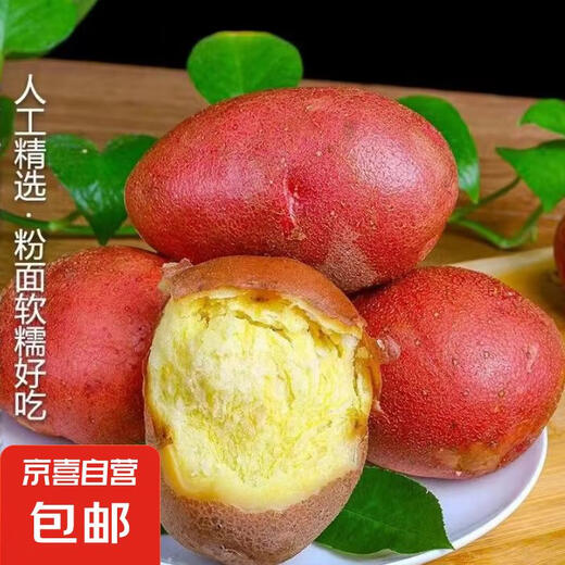 Hebei red-skinned large potatoes, fresh yellow-heart potatoes, freshly dug potatoes, ground eggs, potato noodles, hot pot wholesale, red-skinned large potatoes, 3Jin Jin is equal to 0.5kg, net weight, single fruit 150g+