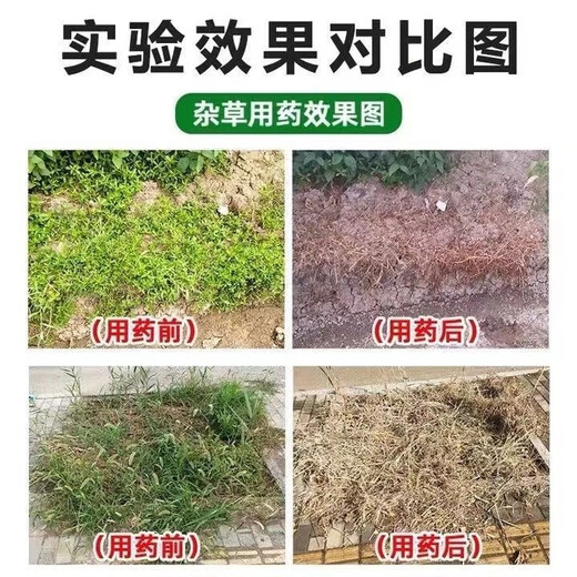 Flufenacet herbicide, sealing weed and root rot herbicide, soybean pre-emergence herbicide 3g*50 pack 50% Flufenacet