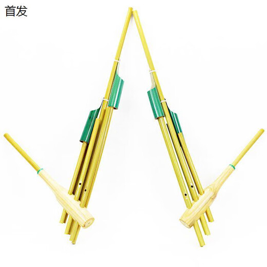 Swan (Swan) Guizhou Miao Traditionnel Lusheng Trumpet 6-tube 6-tube 6-tube 6 tube 6 tube 6 tube 6 tube 6 tube 6 tube 6 tube 6 tube 6 tube 6 tube 6 tube