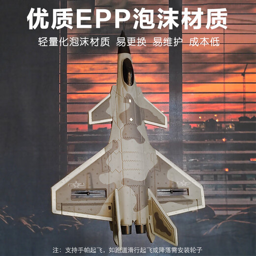 Tema Tongtong Remote Control Fighter J20 Aeronave Boys And Boys Birthday Regalo Niños Modelo de ala fija Juguetes Aeronave 16 minutos Large J20 TDAD 4-WAY 20 Modelos