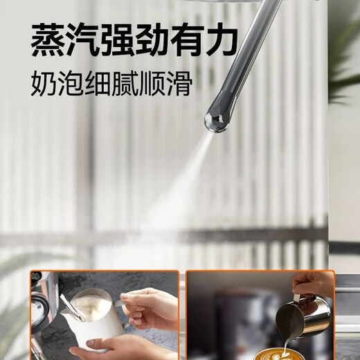 雪特朗（STELANG）意式美式咖啡机浓缩家用简易小型半自动蒸汽打奶泡ST-695B 银色标配