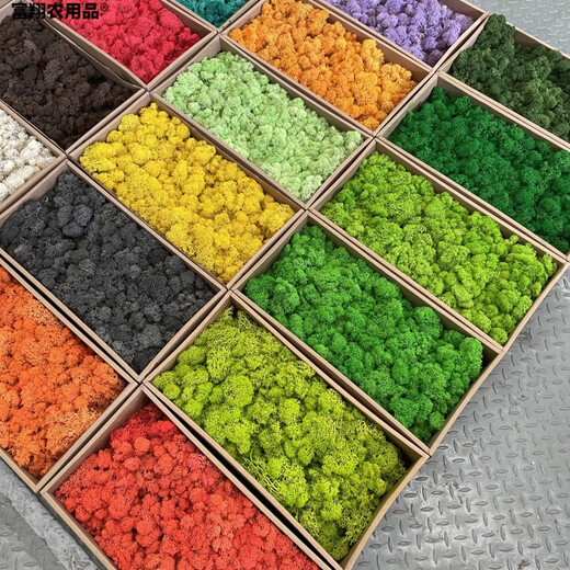 Immortal moss green plant wall moss lawn moss decoration DIY micro landscape white hair moss handmade materials Moss black brown (20g) cannot be put in water