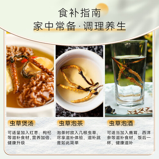 Dongyangguang Organic Cordyceps sinensis 3-4 Racines / g Nouveaux cordyceps séchés Nourisant Box Cordyceps Suppléments pour les parents et les anciens 30 racines, environ 9,5 grammes [cadeau nourrissant de luxe léger]