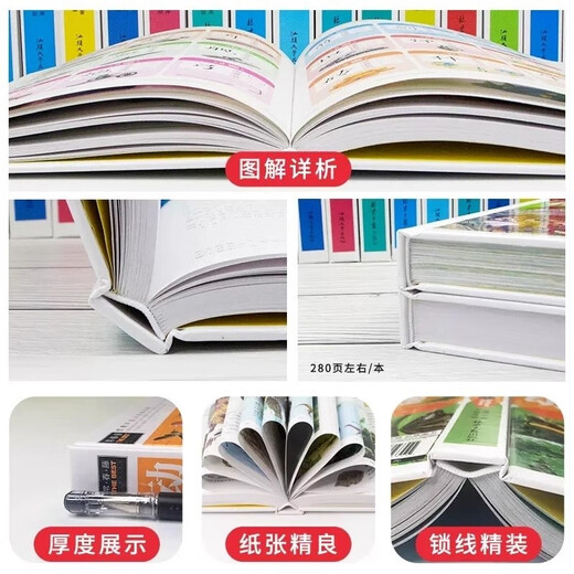 
Children's colored mud paper-cut origami creative handmade collection (exquisite graphic version)