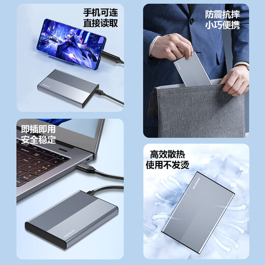 Flash 500 GB mobile Festplatte Typ-C Metall-Hochgeschwindigkeitsfestplatte 2,5 Zoll P2 externer Computer externe Festplatte zum Speichern von Daten, Fotos, Mobiltelefon und Computer mit doppeltem Verwendungszweck, 270 MB/s