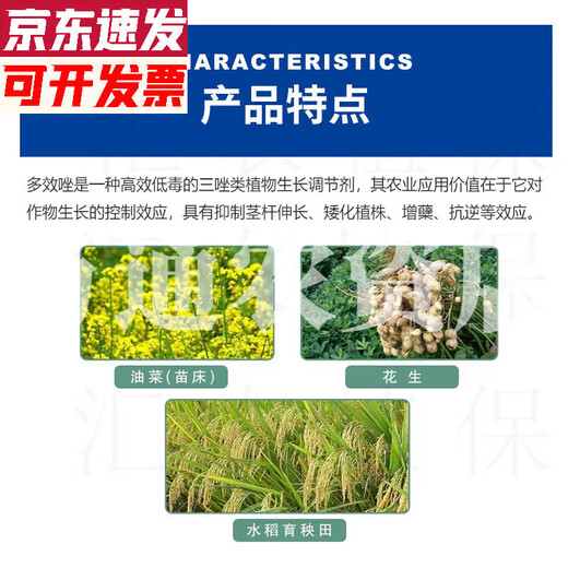 Jianpai 15% paclobutrazol plant growth regulator rice fruit trees and flowers control growth and increase yield paclobutrazol 1kg 500g