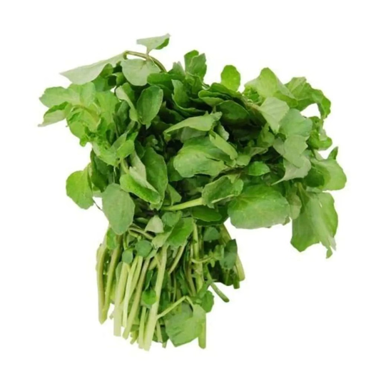 Xiangbin Four Seasons Guangdong Watercress Seeds Field Planting Wild Aquatic Balcony Easy to Plant Live Vegetable Seeds Watercress Seeds Watercress Seeds 3g Original x5 Pack