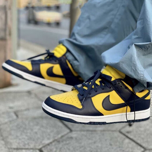 Nike (NIKE) [Trendy] Dunk Low Retro Low Top Retro Anti-Slip Anti-wear Lightweight Breathable Casual Shoes DD1391-700 41