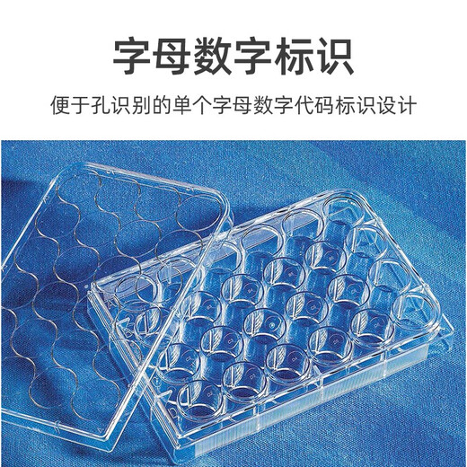 云程corning康宁 6 12 24 48 96孔细胞培养板 低吸附TC U底培养板 Cos 352424孔