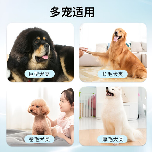 GERTHRON German Pet Dog Hair Comb Border Collie Combing Special Golden Retriever Artifact Nail Rake Comb Large Dog Samoyed Hair Removal Wooden Handle Fixed Teeth Nail Rake Comb (Special for Medium and Large Dogs)