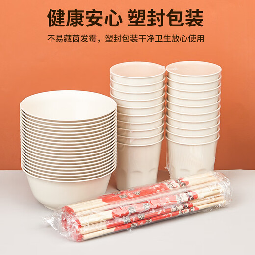 Youao disposable tableware set 20 sets thickened bowls, cups and chopsticks three-piece outdoor picnic waterproof and oil-proof set
