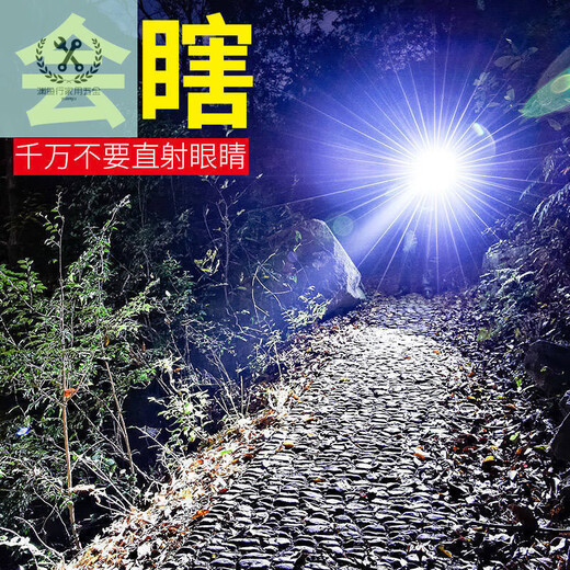 LNGALANDGRE手电筒强光可充电USB户外超亮远射家用应急灯特种兵 充电款X3888万超量VIP7 可变焦圆头侧灯款