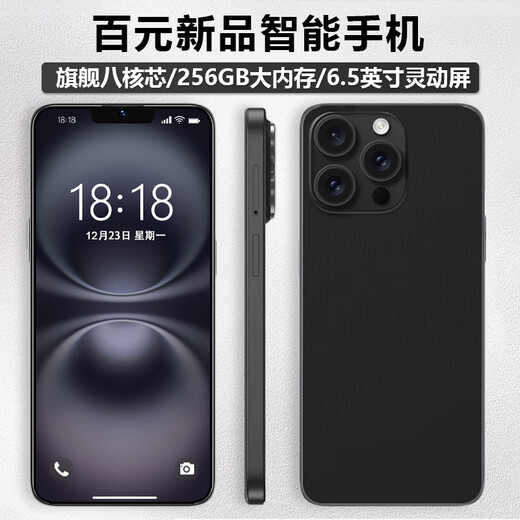 Gionees neuer 256 GB Octa-Core-Smartphone Ultra-dünner Batterielebensdauer Full Network Access verfügbar 5G Karten WeChat 8-Open 6,5-Zoll-Leinwand mit älteren Jahren ältere Computerstudent Backup-Backup-Backup-Black 8-Core + 32 GB