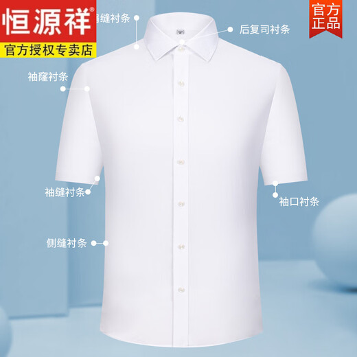 恒源祥纯棉短袖衬衫男士丝光条纹格子2025新款夏季免烫抗皱感衬衣男 短DX6636 满天星 新升级DP成衣免 38 165 [体重100斤-125斤]