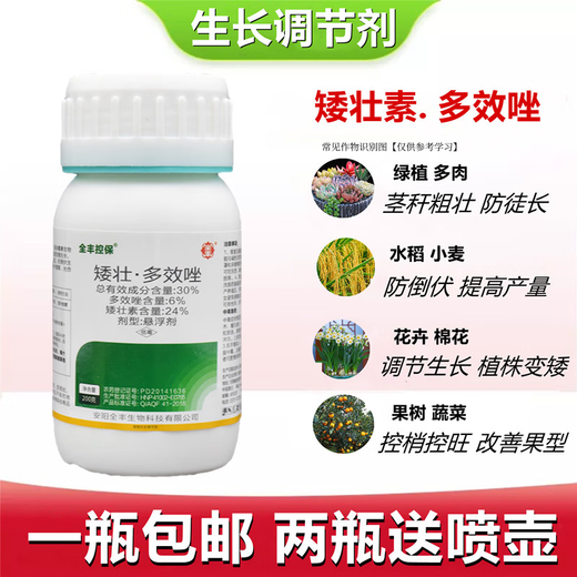 Chrysanthemum agent plant Chrysanthemum chrysanthemum general flowers and trees narcissus flower succulent paclobutrazol chrysanthemum multi-effect 500ml exclusive for large households