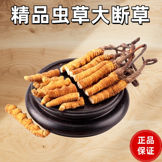 冬虫夏草高海拔虫草断草正品滋补20克送2克自用正宗家庭装 西藏那曲精品大断草买20克送2克