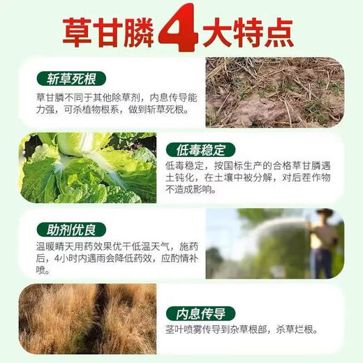 Glyphosate weed killer and root rot agent, powerful herbicide for removing weeds in orchards, wasteland, highways and railways, non-cultivated land, 12kg, a full box