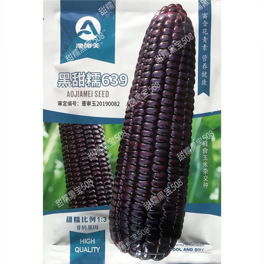 白甜糯玉米种子高产四季播白糯玉米非转国审农家超甜加糯玉米种子 澳甜糯75玉米种子原装100克