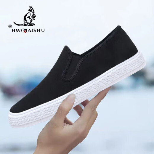 Chaussures paresseuses polyvalentes en une seule-pièce Pékin chaussures en tissu Spring and Summer Chaussures pour hommes Summer Bustable Touvas Chaussures en tissu masculin décontractées [Black-G613] Single couche généreuse et décente 43 durable
