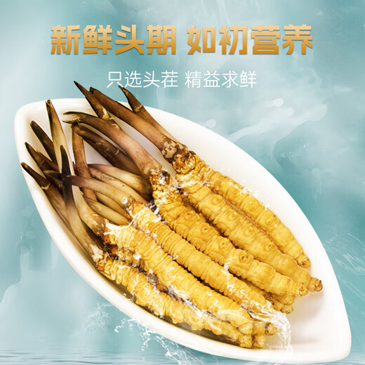 Zangqingyuan [erstes Stoppeln frisches Gras im Jahr 2025] Fresh Cordyceps sinensis, frischer Cordyceps in der ersten Stufe, Geschenkbox für frische Gras, frisches Gras 0,7 g/Wurzel, 50 Wurzeln