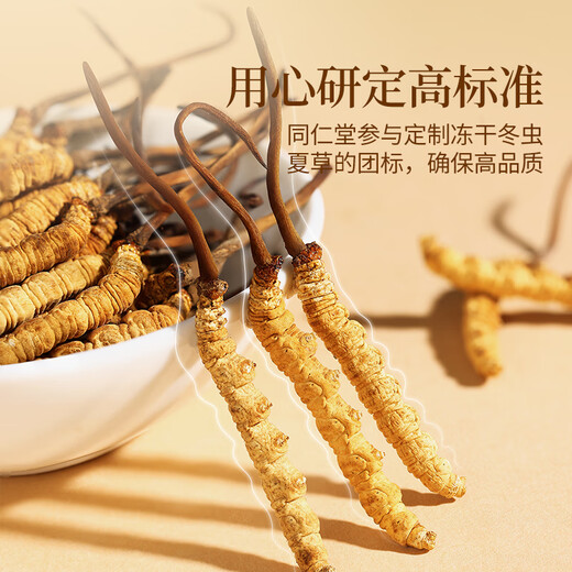 Tongrentang Brand Beijing Tongrentang Cordyceps Cordyceps Boîte cadeau Nutritional Nutritional Nutritional Gift Gift 1 Box 2G [NUTRIFICATION HIGHENT] Environ 5 bâtons / gramme d'environ 10 bâtons