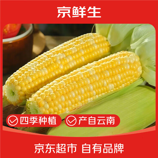 Beijing fresh Yunnan fruit corn 5Jin Jin is equal to 0.5kg, fresh sweet corn on the cob, sweet, crisp and juicy, fresh vegetables, straight from the source