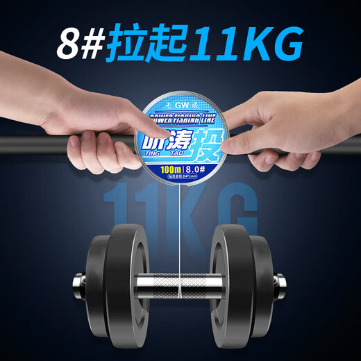Guangwei (GW) Tingtao super-strength nylon line super-strength long-range fishing line main line Taiwan fishing sea fishing nylon line fishing gear No. 8