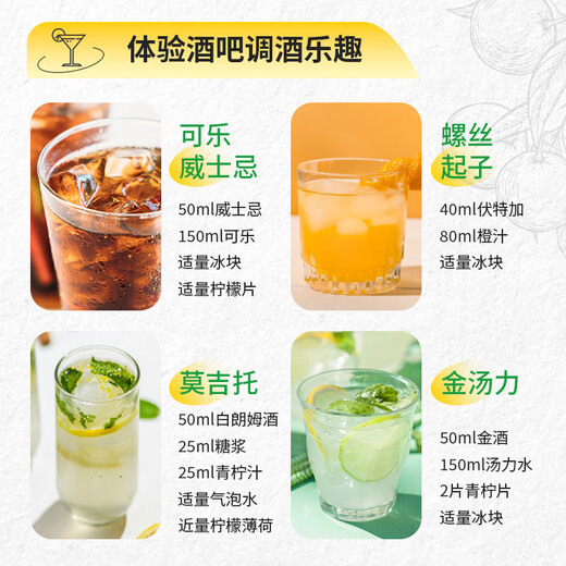FAST.KING洋酒伏特加生命之水调酒基酒40度伏特加烈酒套装组合700ml 【伏特加+白朗姆700ML】