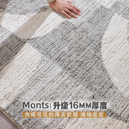 
FRONNIC (FRONNIC) imported from Belgium modern light luxury thickened high-end living room bedroom blended cloakroom dining table blanket Antwerp-687 [Modern light luxury style] 2m*2.9m (suitable for three-sitting/L-shaped sofa)