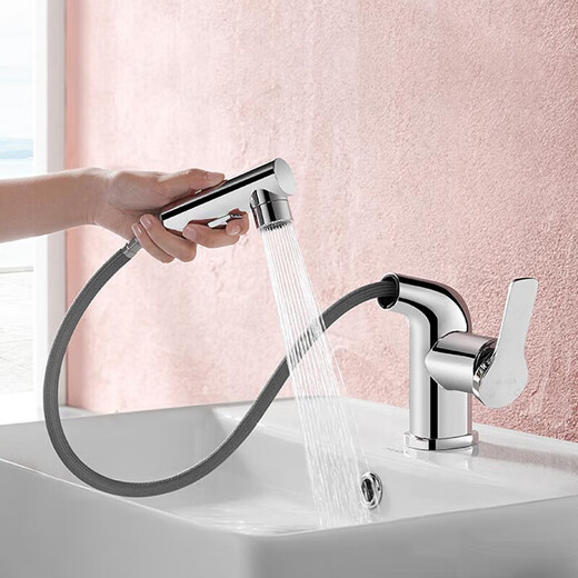 5505 Beckenauszugsarmatur heißer und kalter Doppelauslass Wasserwaschbecken Wasserhahn 2691-PULL Einer Loch Wasserhahn