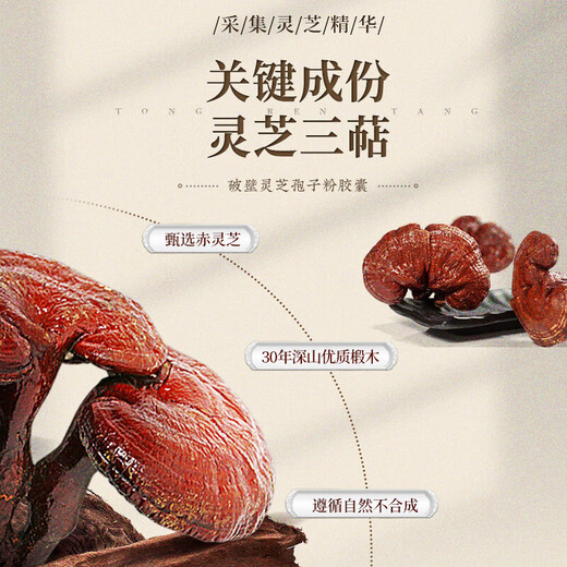 同仁堂北京同仁堂 破壁灵芝孢子胶囊0.35g*60粒2瓶装 增强免疫送礼礼品 【灵芝孢子粉60粒-30天量】