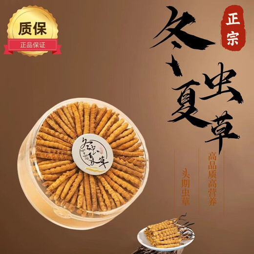 Selected authentic snow mountain cordyceps sinensis genuine first-stage fresh cordyceps 50g gift box for 4 pieces/gram dry goods Tibet Nagqu Cordyceps 50 pieces for 4 pieces/gram
