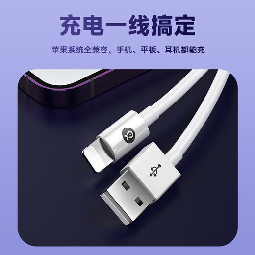 Biyaz convient à 0,3 m de banque d'alimentation PORTABLE Câble de charge portable Câble de données Apple Câble de charge rapide Iphone14 / 13/12/11 / XS / XR / SE / 8 / 7IPADAIR