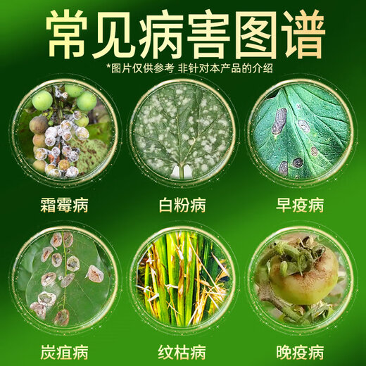 Hulian Plant Protection 75% chlorothalonil chlorothalonil citrus fruit trees vegetables lawn flowers white powder anthrax downy mildew pesticide fungicide
