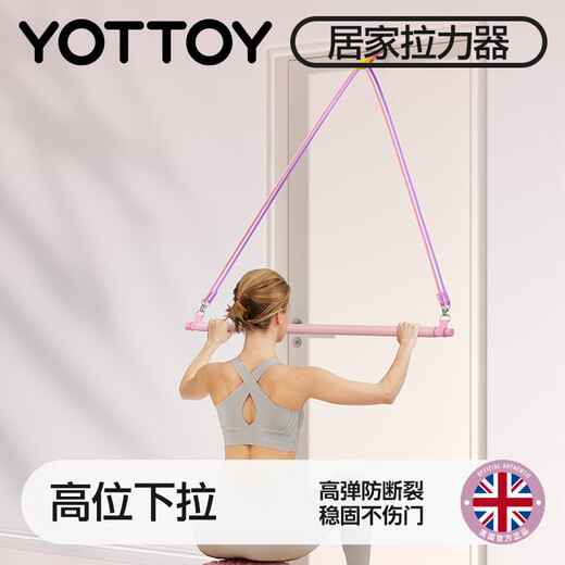 yottoy拉力器开肩练背练腿健身瑜伽弹力带拉力绳力量运动高位下拉训练器 新手9件套/防断40磅/力度可调节
