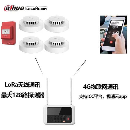 Dahua Dahua Lora smoke alarm smoke fire detection one-button alarm system with networked remote smoke fire 3c certification 4G host SAM3LGB