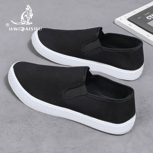 Chaussures paresseuses polyvalentes en une seule-pièce Pékin chaussures en tissu Spring and Summer Chaussures pour hommes Summer Bustable Touvas Chaussures en tissu masculin décontractées [Black-G613] Single couche généreuse et décente 43 durable