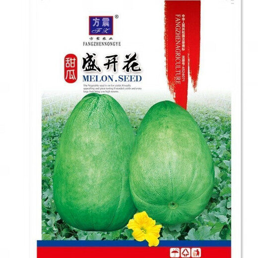 Shop Blooming Melon Super Sweet Melon Seeds Green Skin Green Flesh Early Mature Spring and Autumn Planting Fruit Seeds Xinjiang Blooming Melon Seeds Four Packs About 824 Tablets