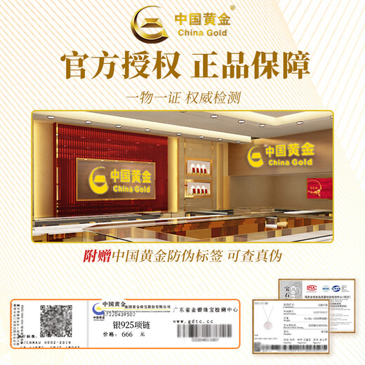 Chinese Gold Lychee Ice Silver Necklace for Women 2025 New Jade Pendant Girls Niche Birthday Gift for Girlfriends and Best Friends Lychee Ice Necklace