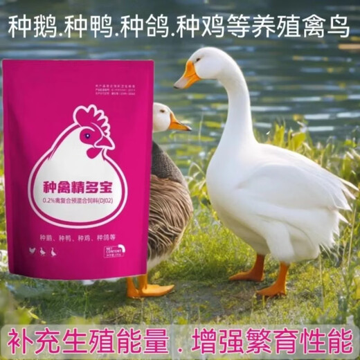 Chicken brand breeder breeder, duck breeder, goose breeder, pigeon breeder, egg-increasing parrot to increase fertilization rate, bird-specific vitamin premix white egg, 500g breeder bird essence Duobao, increase rate
