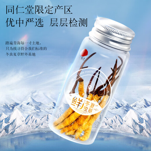 同仁堂（TRT）品牌 新鲜虫草0.61-0.8克/条30条装冬虫夏草 青海源头直发包邮