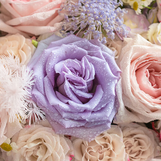 HuaDe flower express delivery, rose bouquet birthday gift for girlfriend to express love within one hour, nationwide same-day delivery in the same city Purple Story Purple Rose + Pink Lychee | dyr80