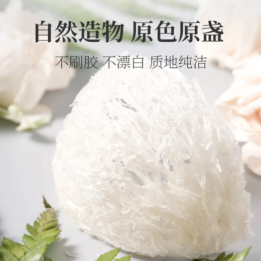 Zuoliang Bird's Nest getrocknetes Vogelnest aus Indonesien Schwangeres Frauen Nest Vogel Nest Nest Nest Nest Nest Nutritional Nahrungsergänzungsmittel 9A Rückverfolgbarkeit 100 Gramm [etwa 14 Tassen]