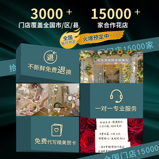 Shiguangnitra Flowers delivers in the same city, delivers sunflower bouquets, delivers boyfriend’s birthday gift bouquets to girlfriends and besties, flowers delivered by flower shop, wins the first prize (girls)丨Sunflowers and Elsa Champagne rose mixed bouquets