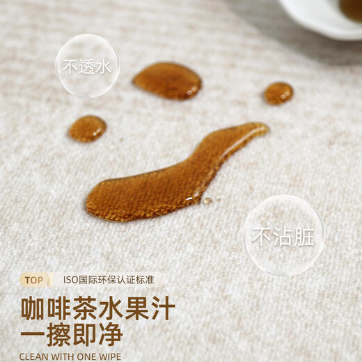 圆形地毯感客厅地毯圆型轻奢卧室化妆椅梳妆台书房免打理地垫 晨夕-12134 200cm*200cm(圆形)